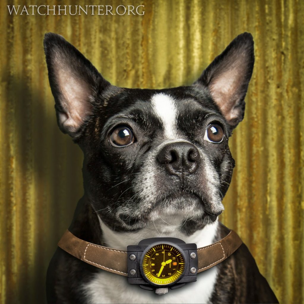 Zack The Boston Terrier and Swiss Army Vintage Night Vision Watch