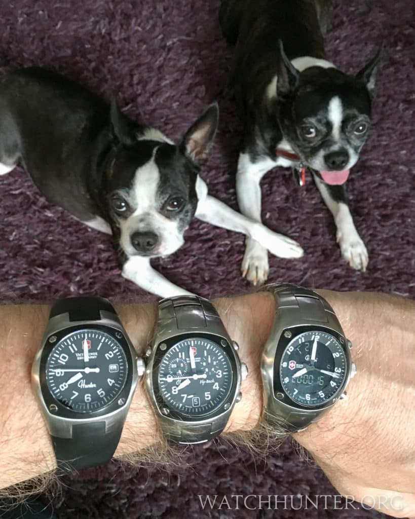 Meet my own hunters... the K9 Squirrel Brigade seen here with the Swiss Army Hunter watches - generations 1, 2 and 3.