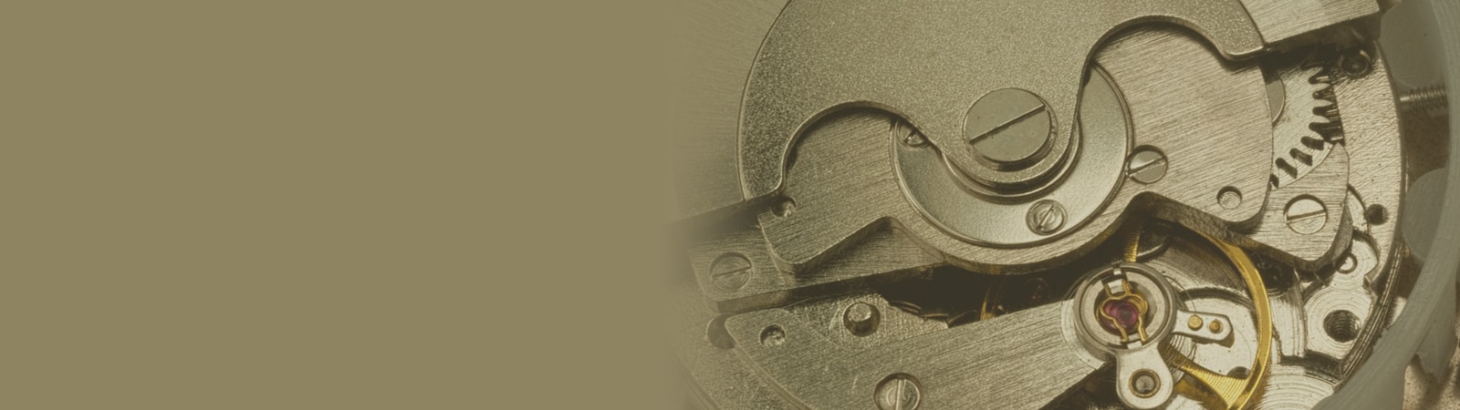 Automatic Winding Movement Watch Reviews